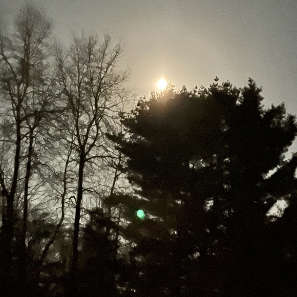 Meet your Posher, Melinda - Picture 1 of 1